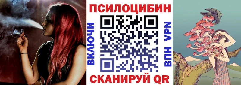 Купить где Дальнереченск Псилоцибиновые грибы ЛСД